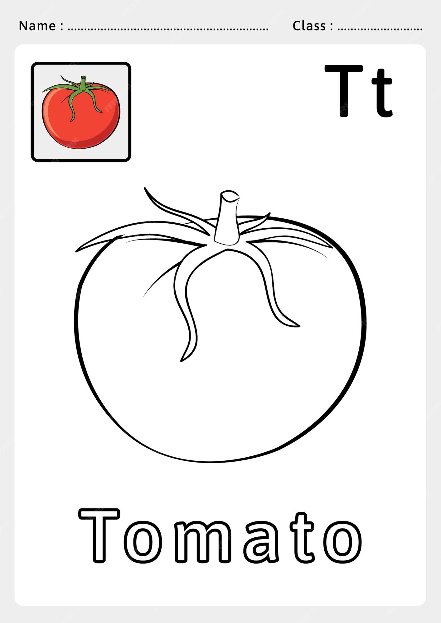 Premium vector alphabet a to z coloring book
