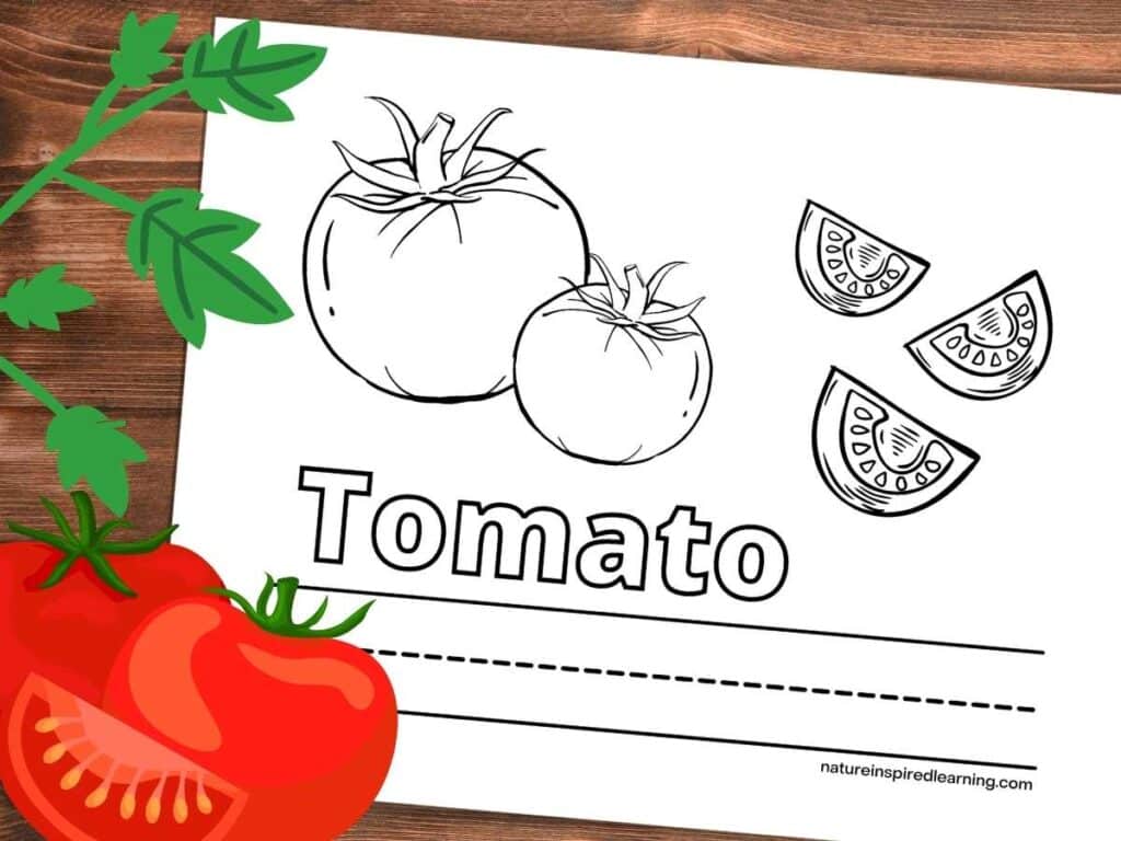 Tomato coloring pages
