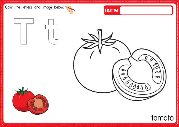 Letter t for tomato stock illustrations royalty