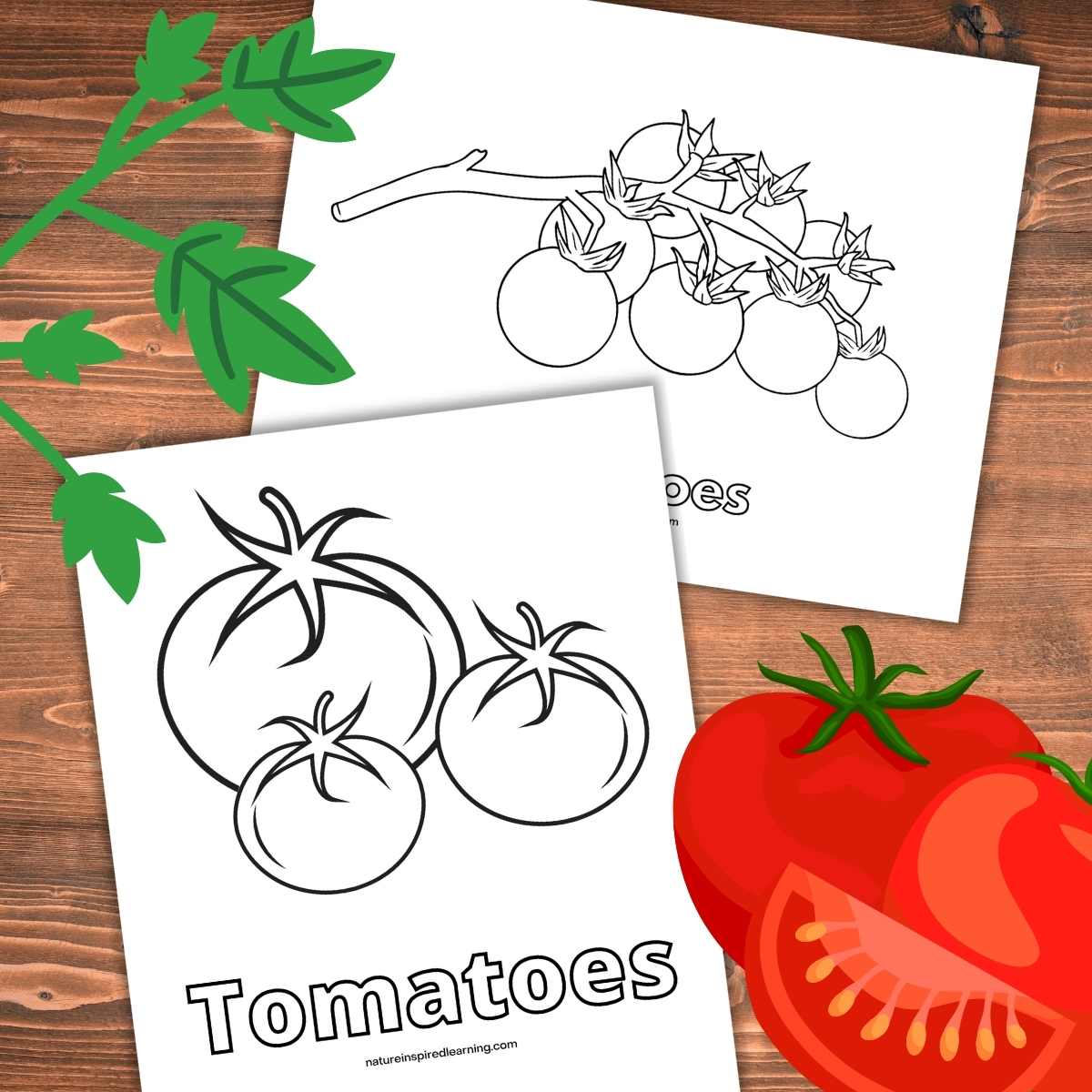 Tomato coloring pages