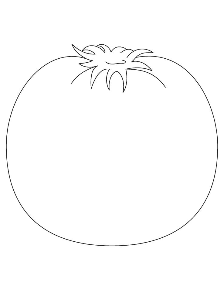 Growing tomato coloring page download free growing tomato coloring page for kids best coloring pages