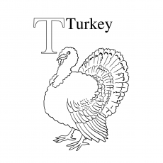 Top turkey coloring pages for toddlers