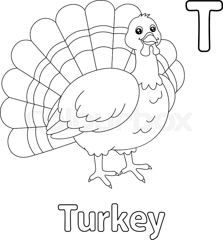 Turkey alphabet abc coloring page t stock vector
