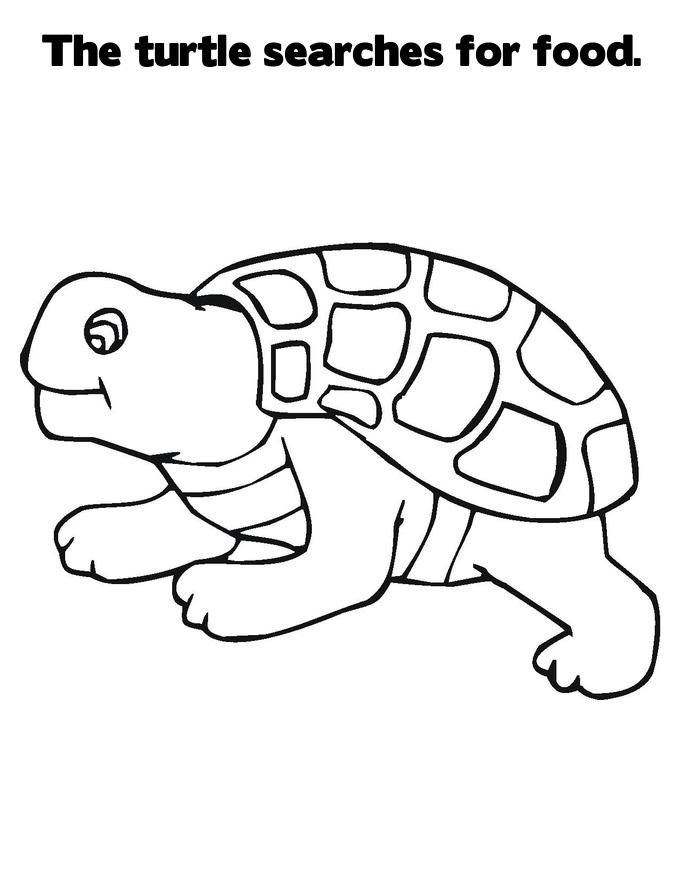 Free printable turtle coloring pages for kids