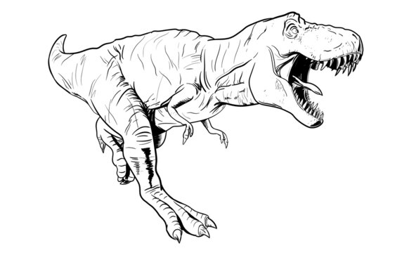 Tyrannosaurs rex or t