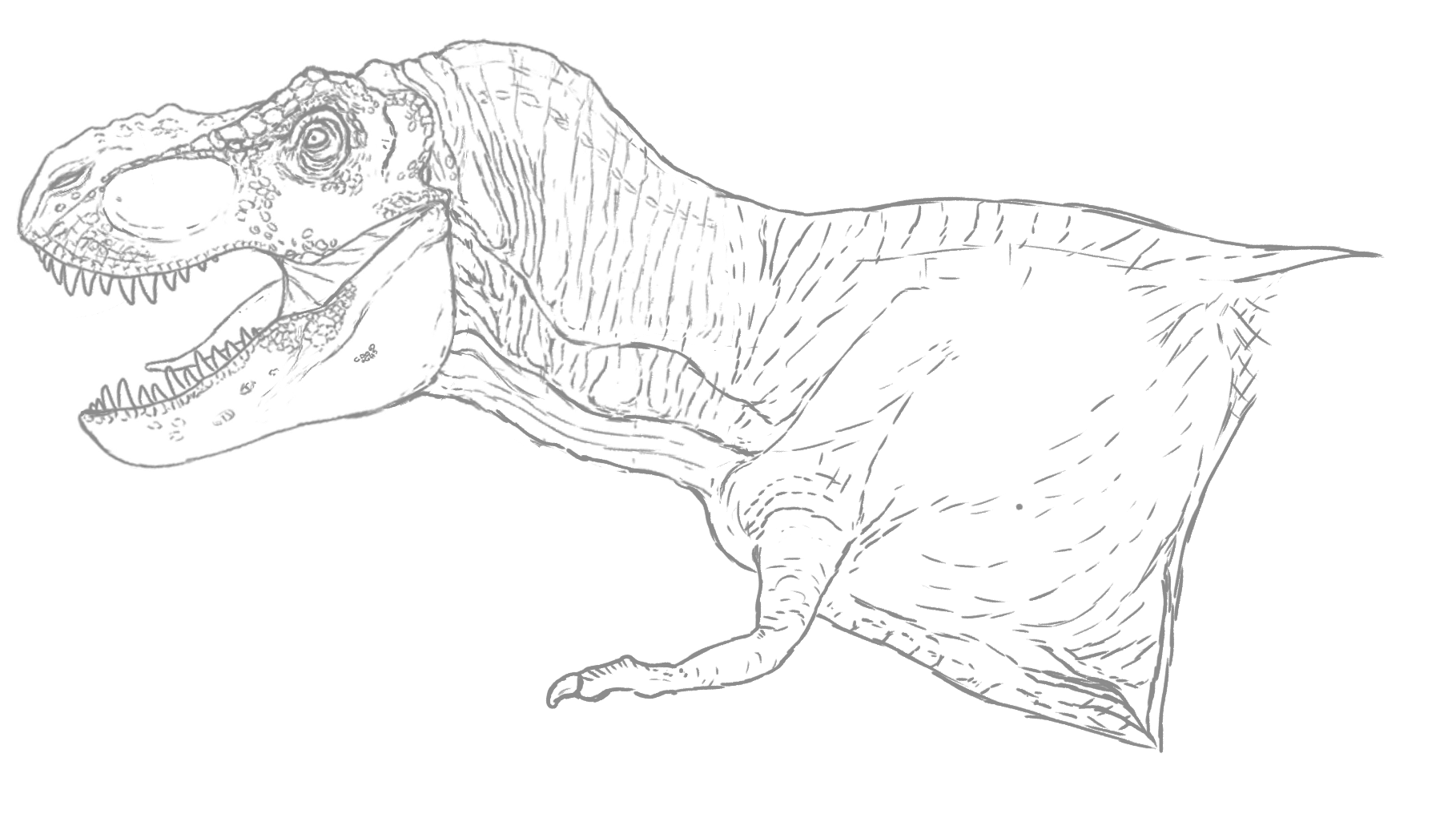 Matt dempsey on x reverse engineering pics of the old ilm wireframe and michael trcics maquettes to sketch an orthographic reference sheet for the original jurassic park t rex i wanna use