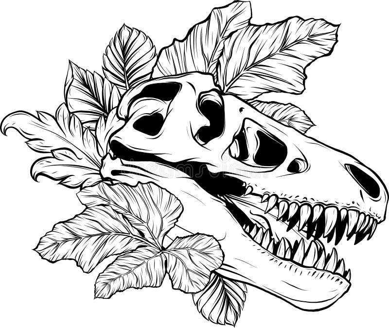 T rex outline stock illustrations â t rex outline stock illustrations vectors clipart