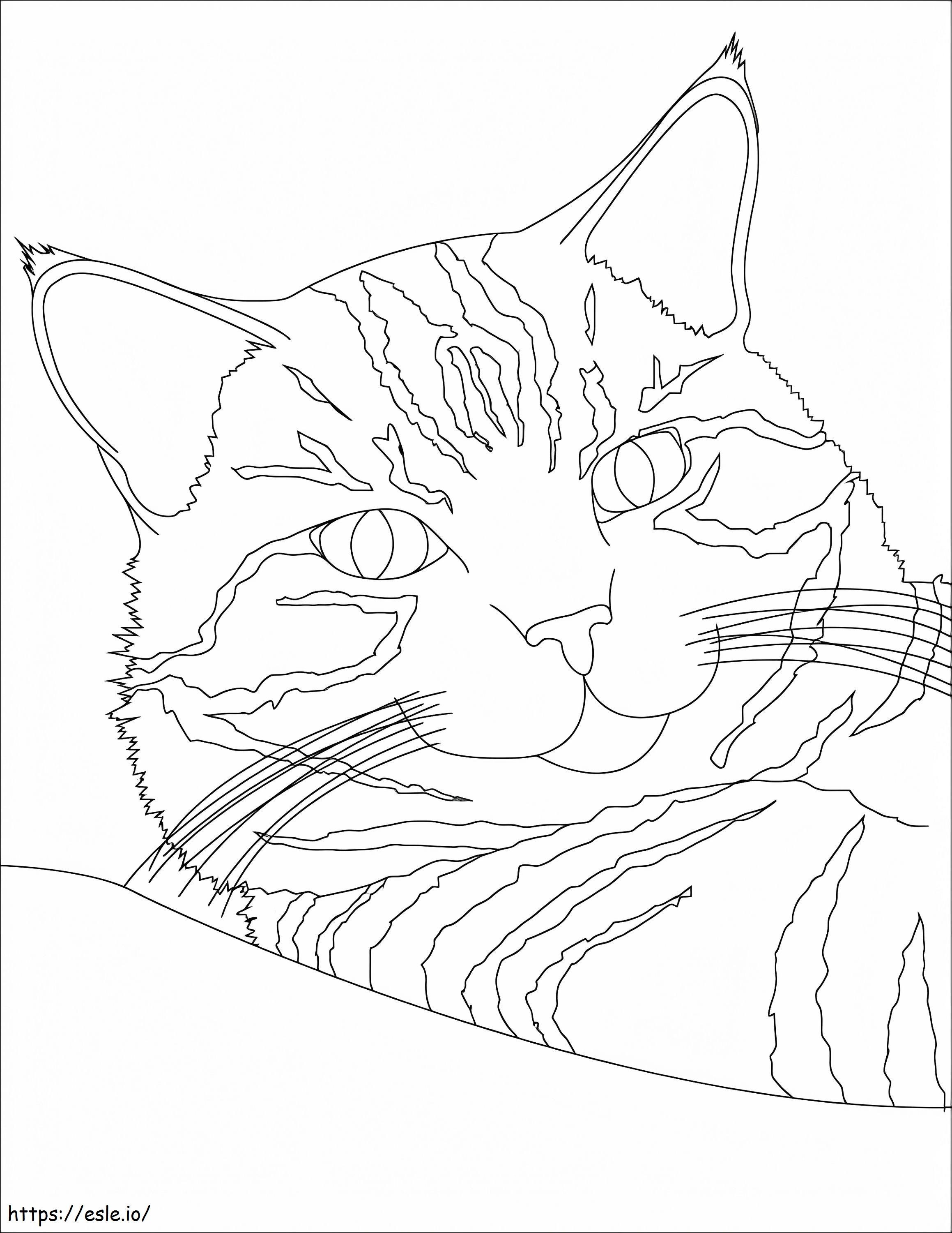 Tabby cat coloring page