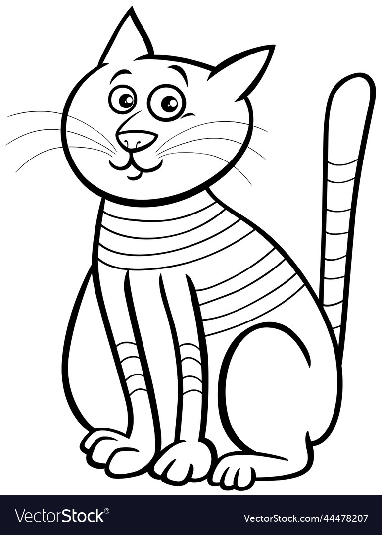 Cartoon tabby cat animal character coloring page vector image