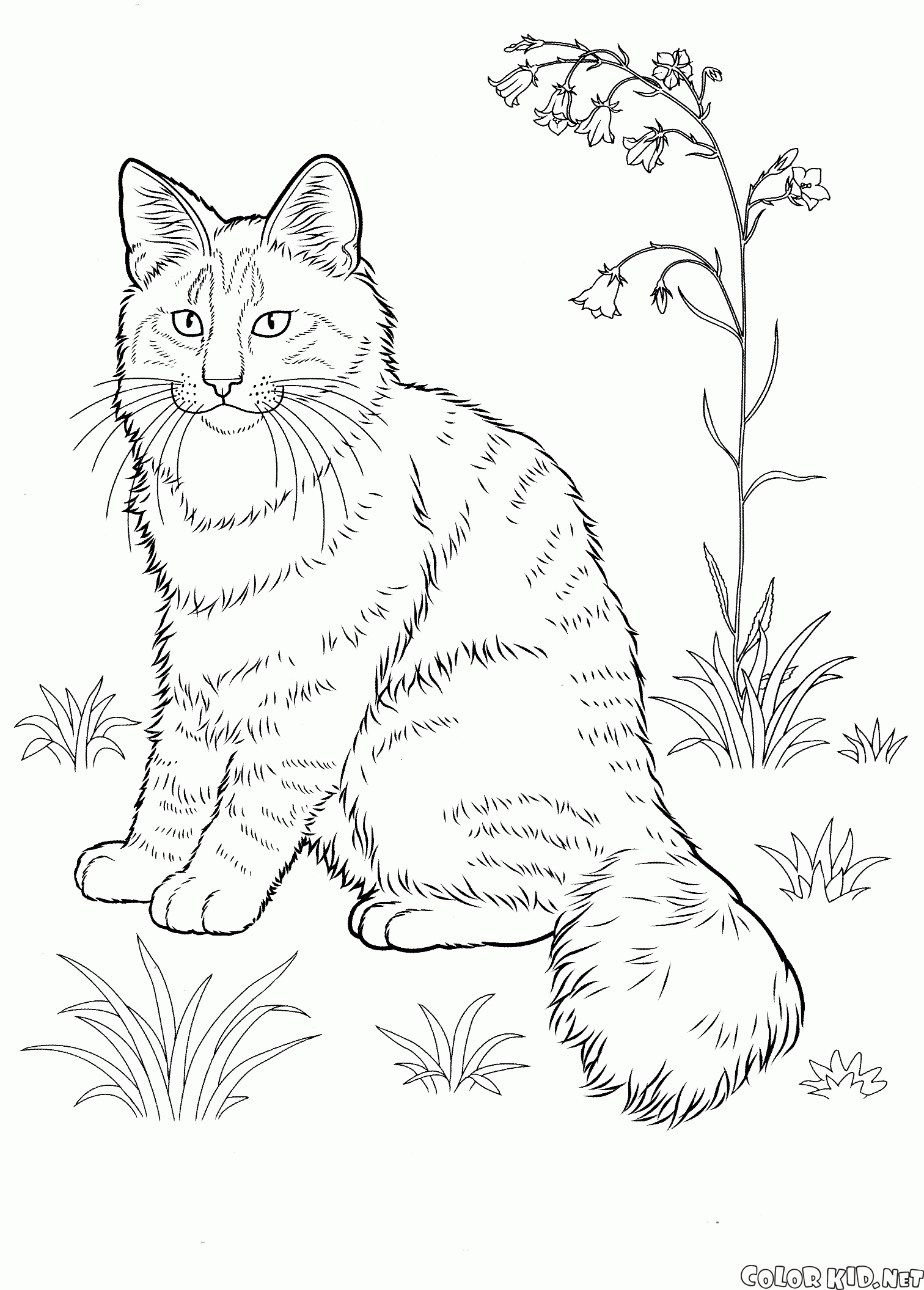 Coloring page