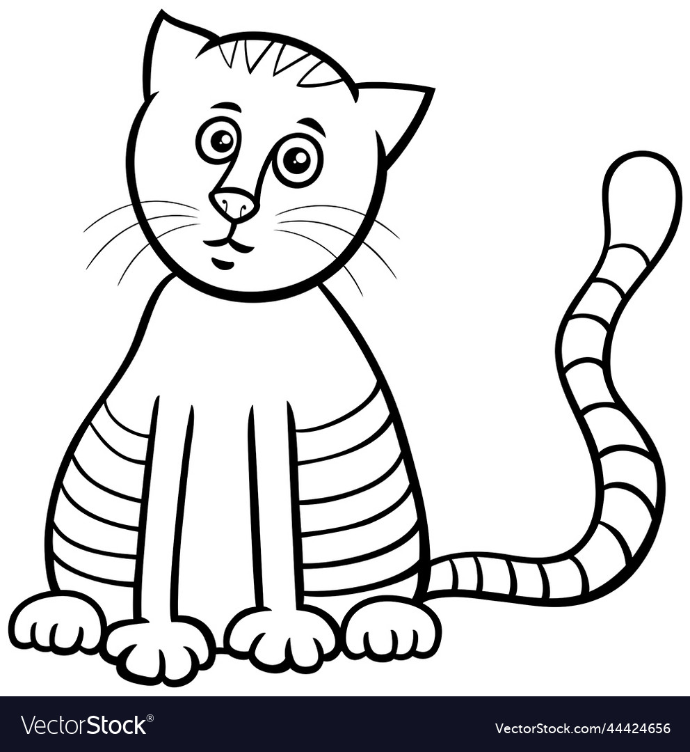 Cartoon tabby cat animal character coloring page vector image