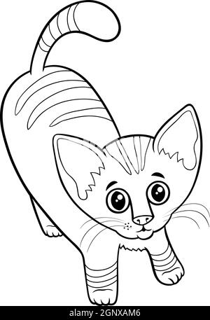 Tabby kitten for coloring stock vector image art