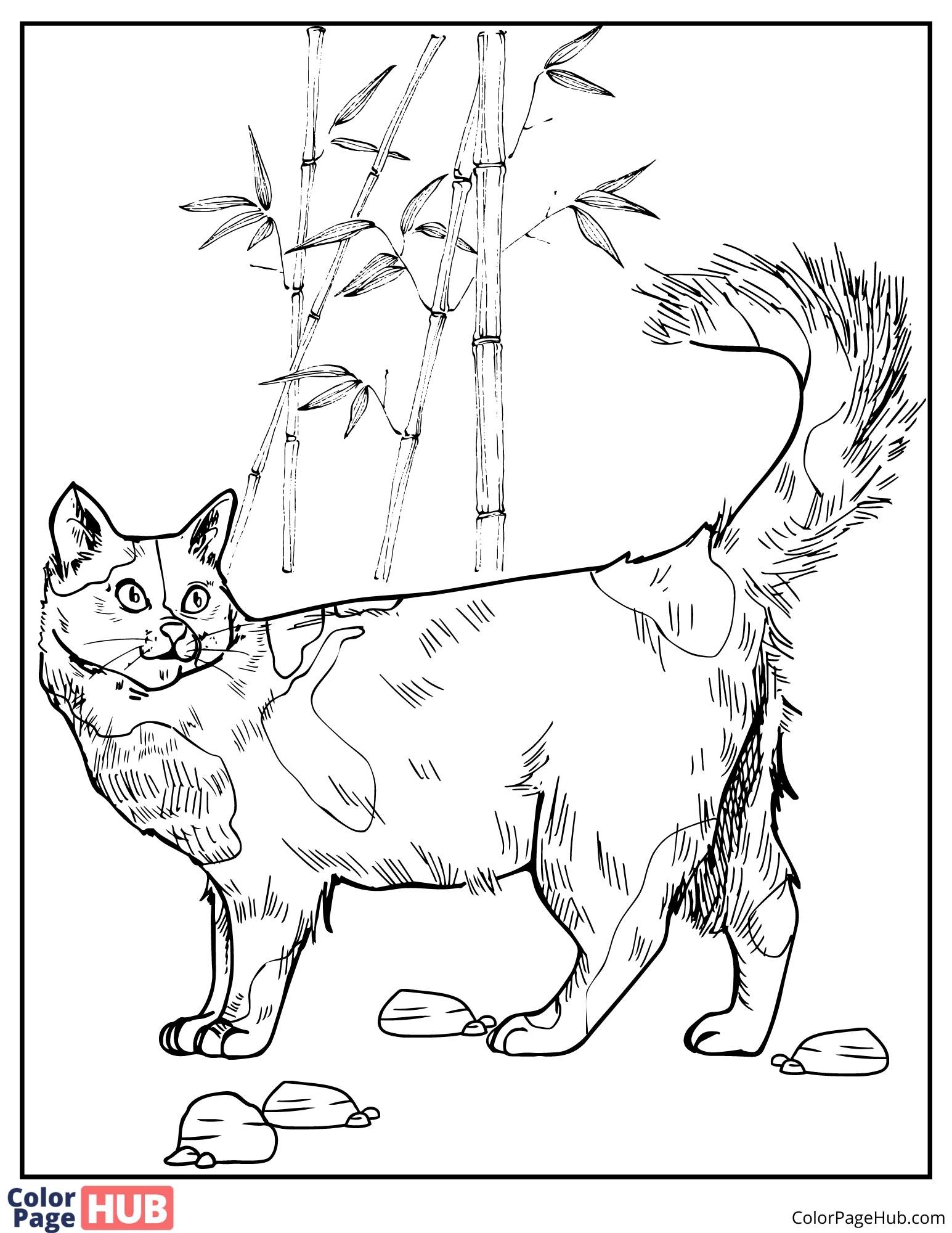 Calico cat coloring pages