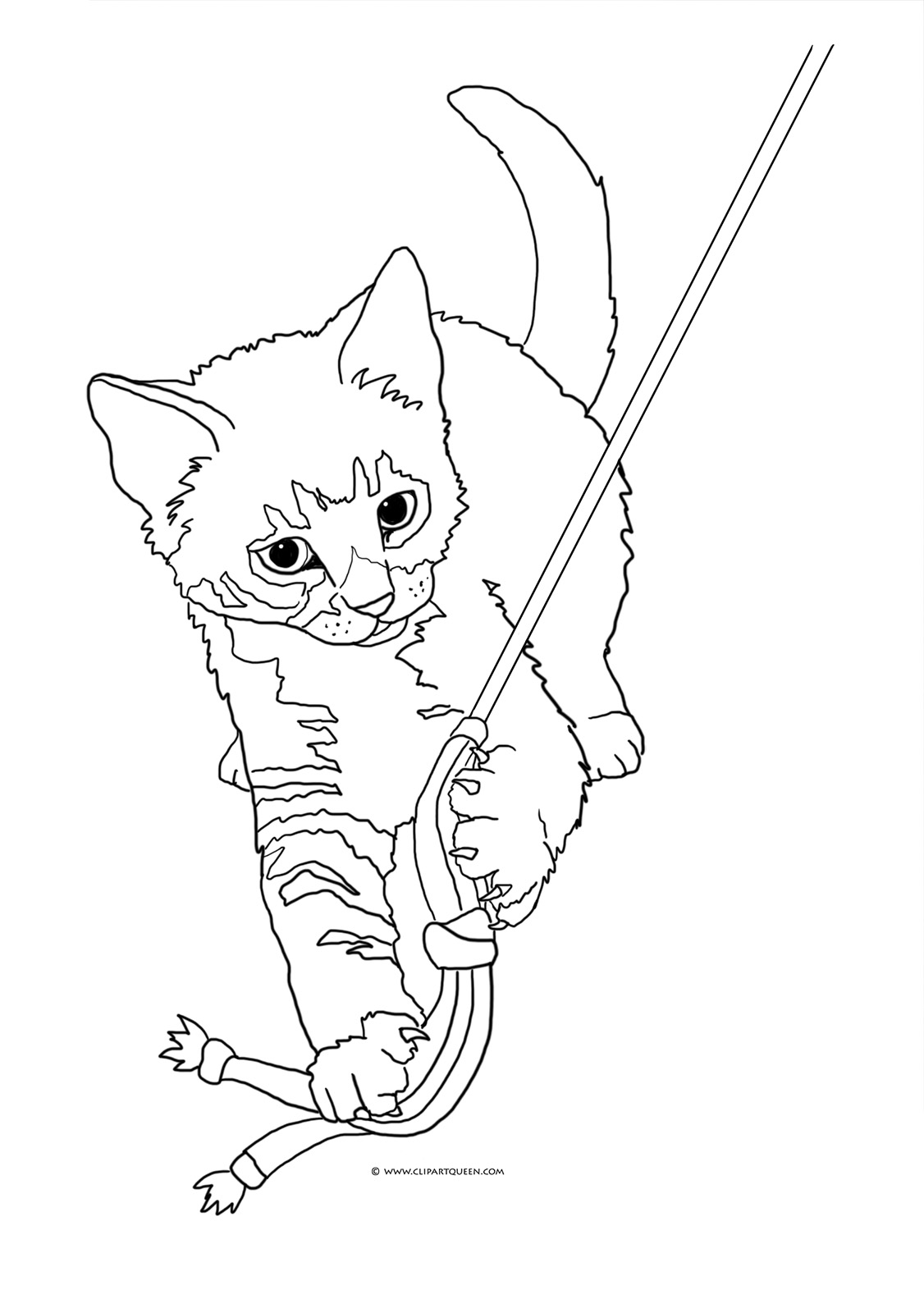 Cat coloring pages