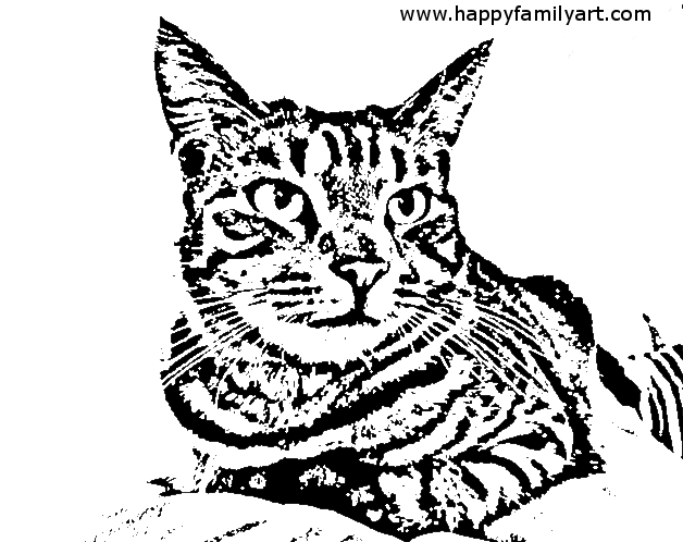 Making coloring pages from photographs using gimp