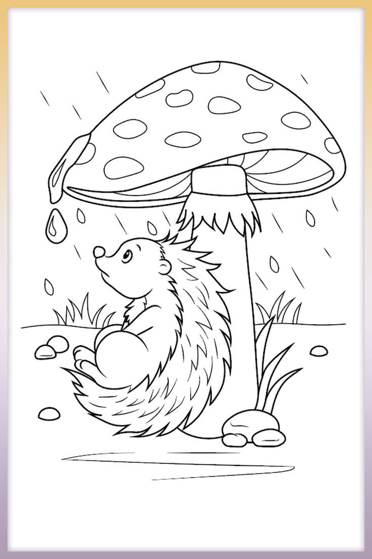 Adorable hedgehog taking shelter