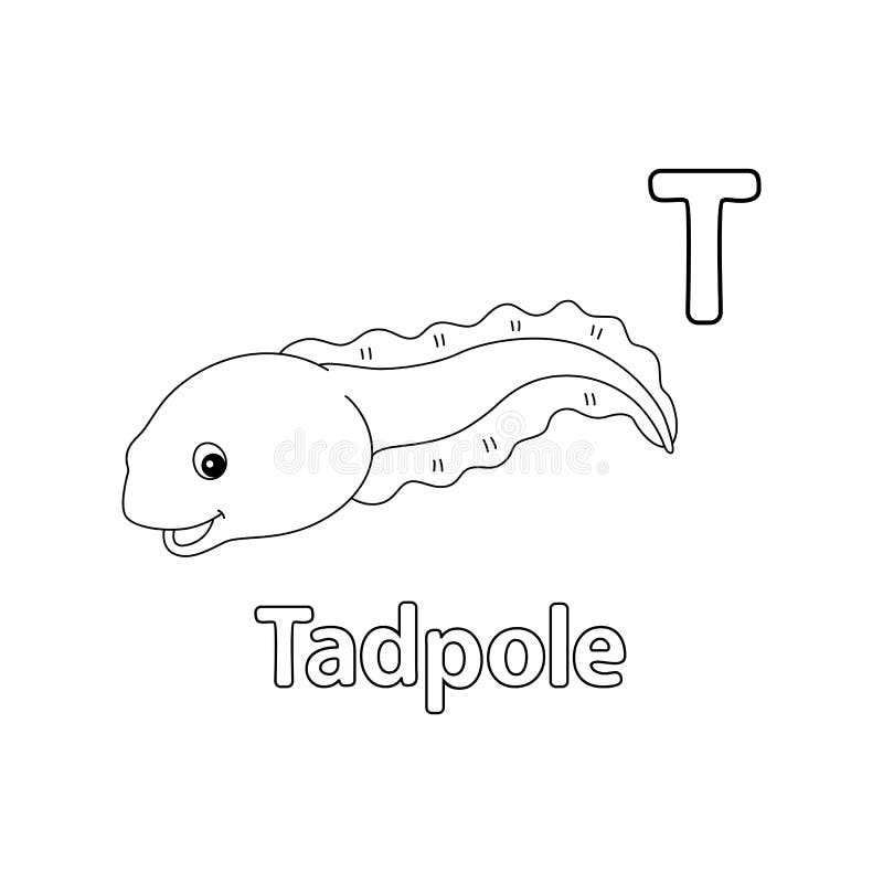Tadpole animal alphabet abc isolated coloring t stock vector