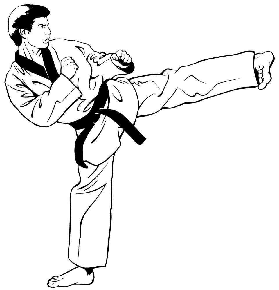 Olympic taekwondo side kick â