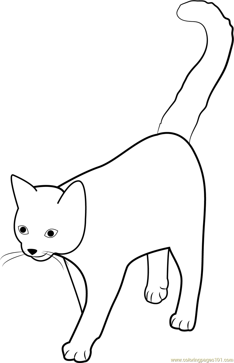 Cat tail high coloring page for kids