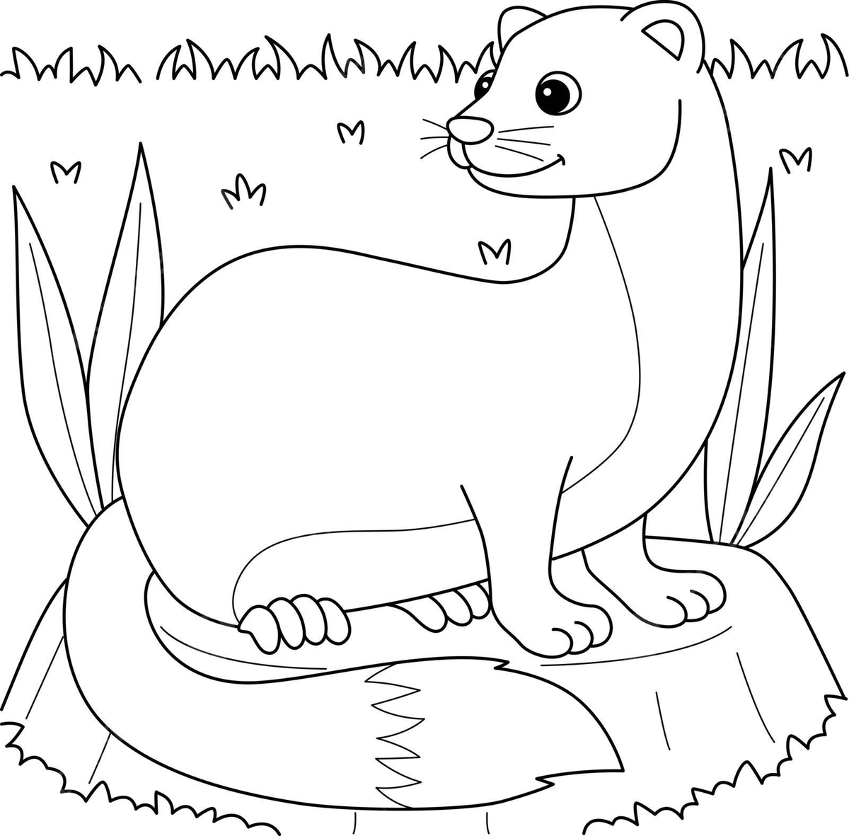 Weasel animal coloring page for kids coloring book tail mustela vector coloring book tail mustela png and vector with transparent background for free download