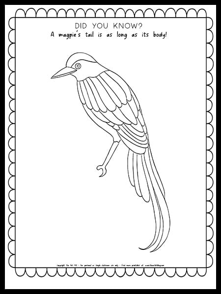 Magpie coloring page with fun fact free printable â the art kit