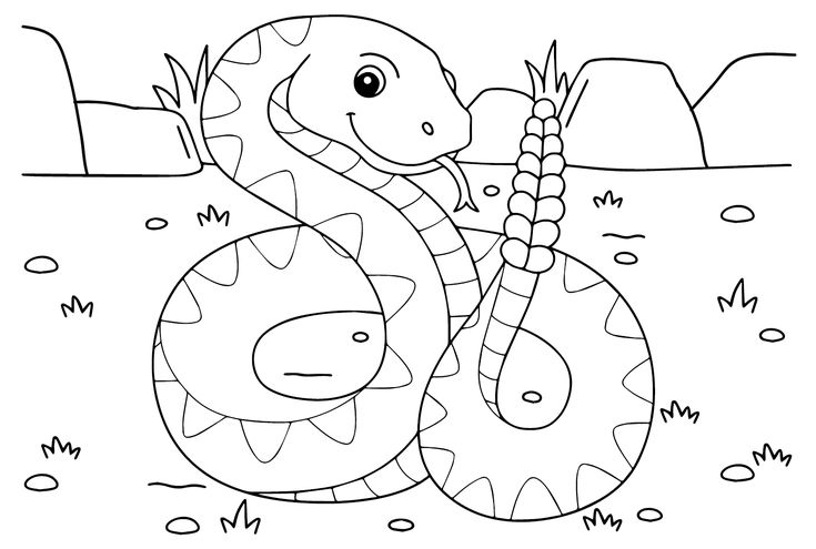 Rattlesnake coloring pages
