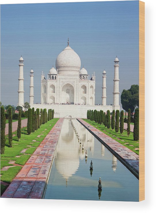 Beautiful taj mahal agra radjasthan wood print by brittak
