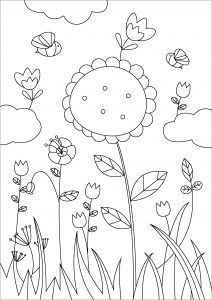 Flores