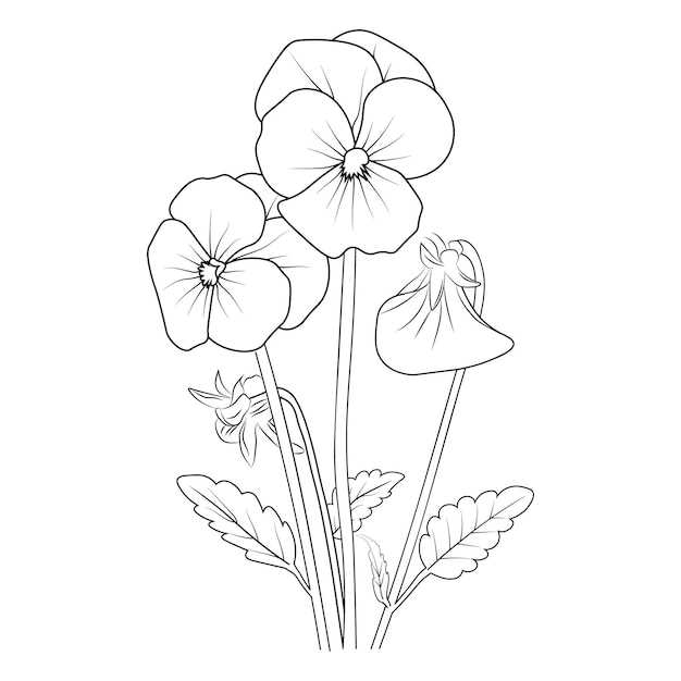 Un dibujo en blanco y negro de flor de pensamiento con una hoja en el tallo botãnico viola el dibujo de flor vector premium