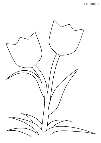 Dibujos de flor para colorear imãgen de flor para colorear