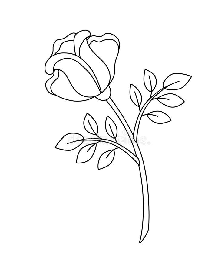 Flor