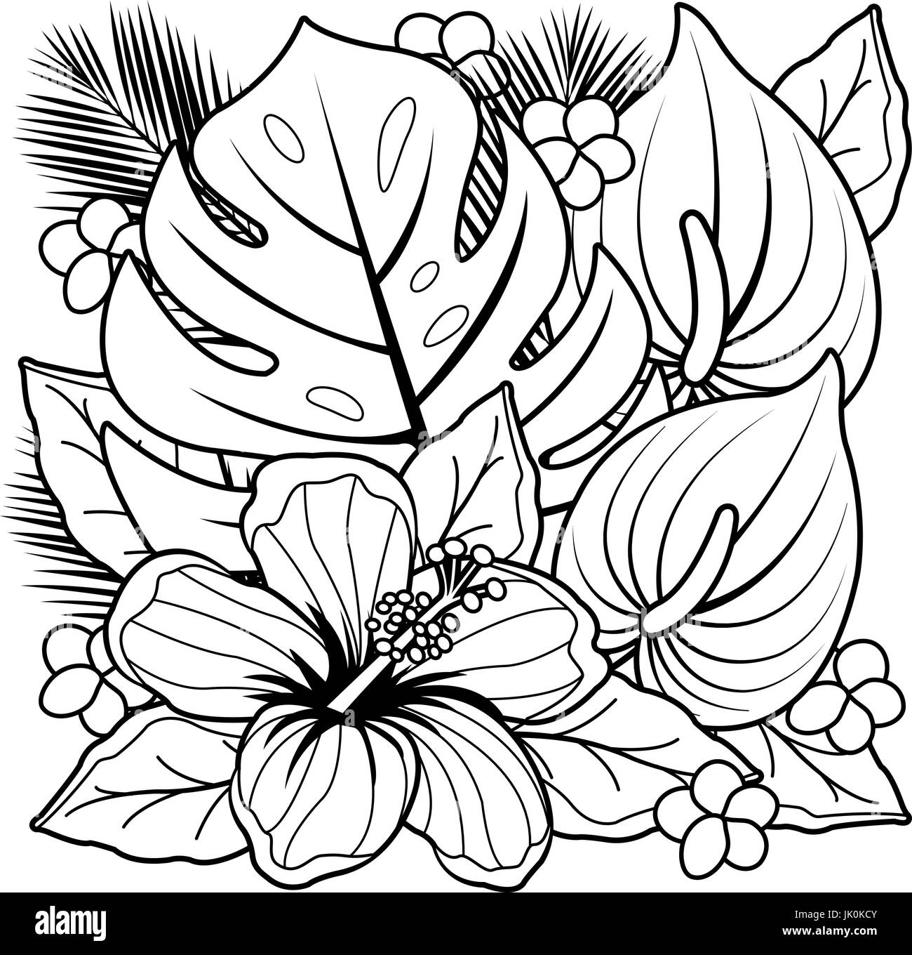 Plantas para colorear fotografãas e imãgen de alta roluciãn