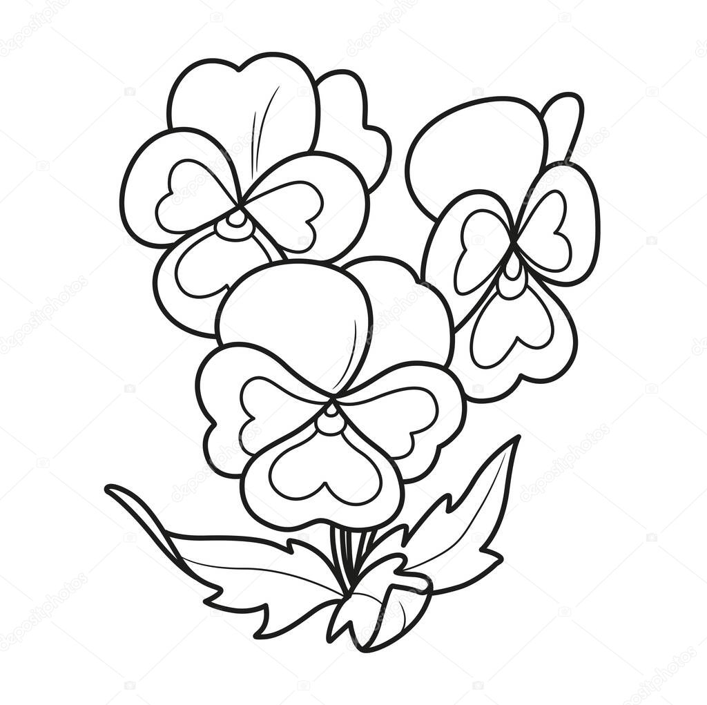 Pansy flores para colorear libro dibujo lineal aislado sobre fondo vector de stock de yadviga