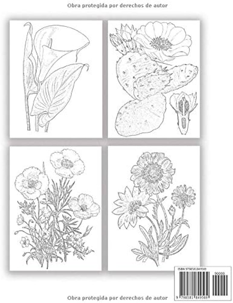 Flor libro para colorear bocetos para colorear acuarela pintura acrãlico aibar marie libros