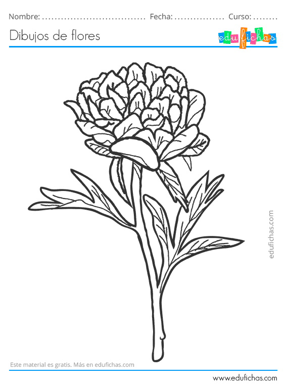 Dibujos de flores descarga gratis dibujos para colorear de flores