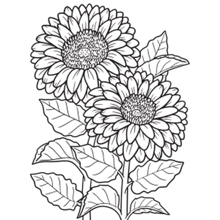 Dibujo de flores amarillas para colorear plantillas bonitas por si no conseguiste ramo