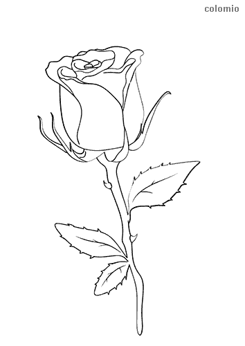 Dibujos de flor para colorear imãgen de flor para colorear