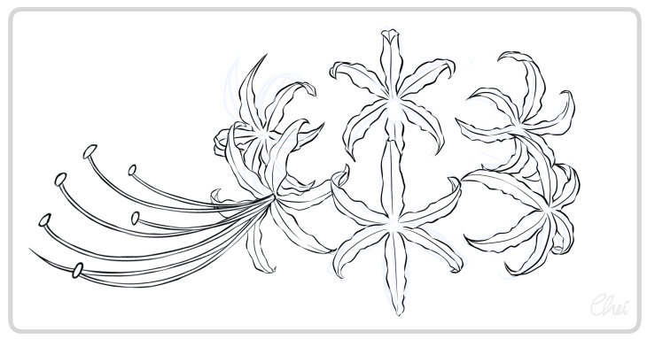 Cãmo dibujar flores plantas por cheishiru