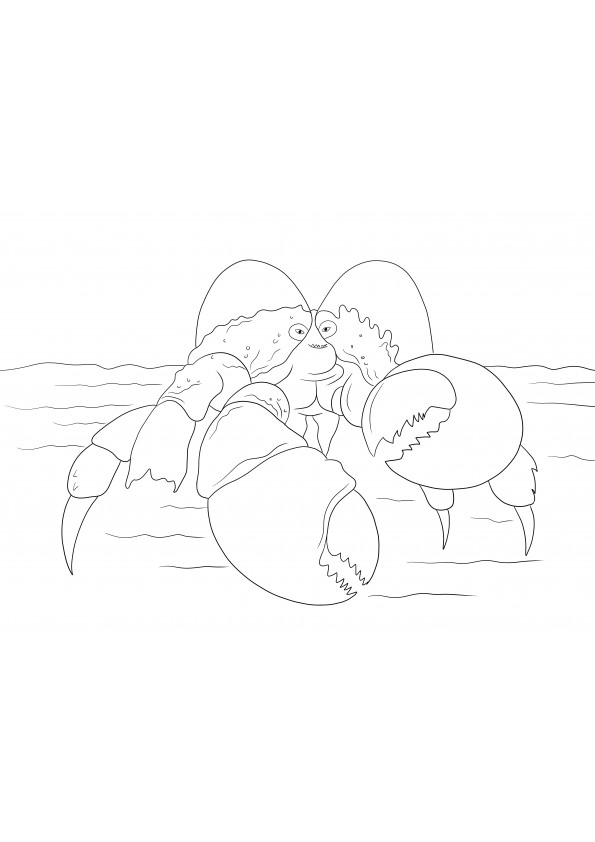 Moana coloring pages