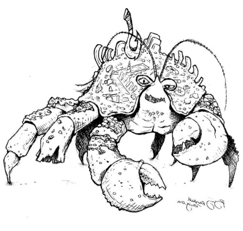Crab in moana coloring page