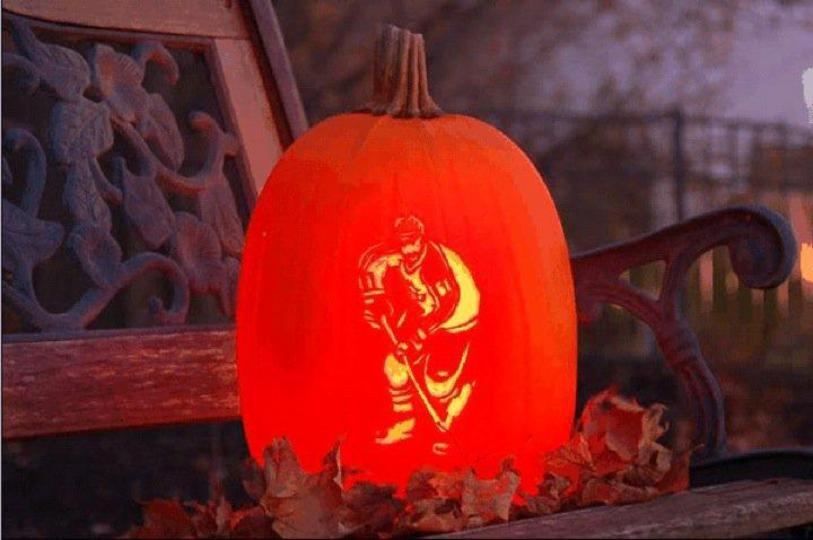 A gallery of nhl
