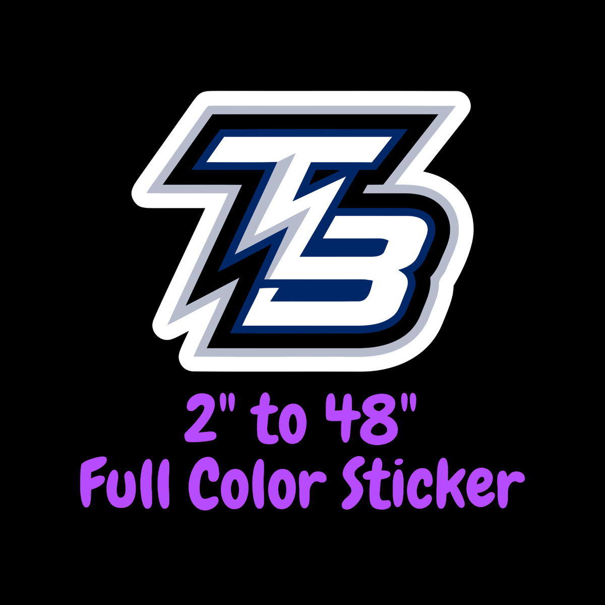 Tampa bay lightning full color vinyl decal hydroflask decal cornhole decal