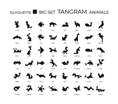 Tangram bird images â browse photos vectors and video