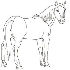 Top free printable horse coloring pages online