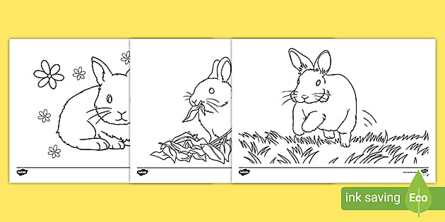 Year of the rabbit wreath chinese new year colouring pages