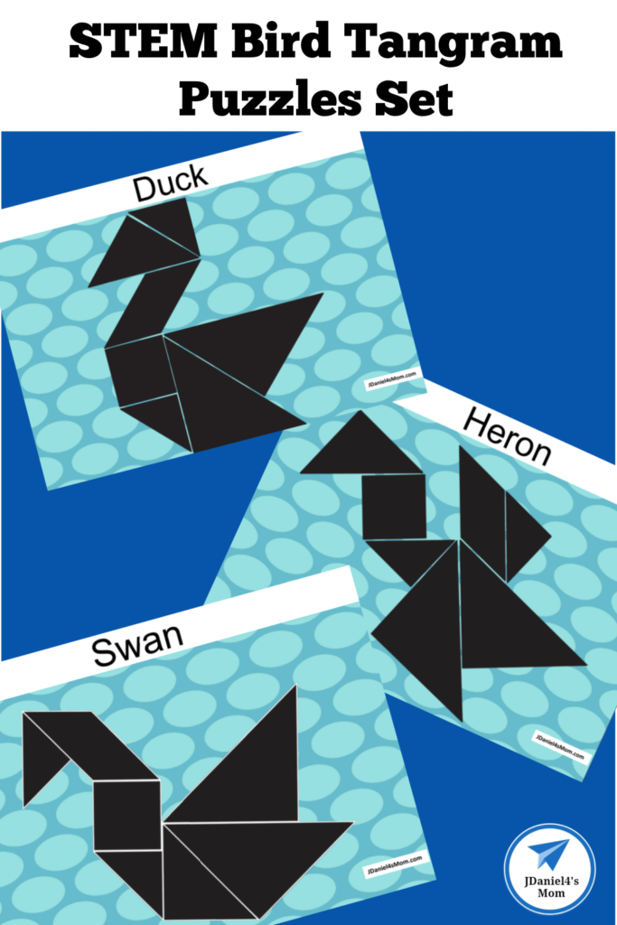 Stem bird tangram puzzles set