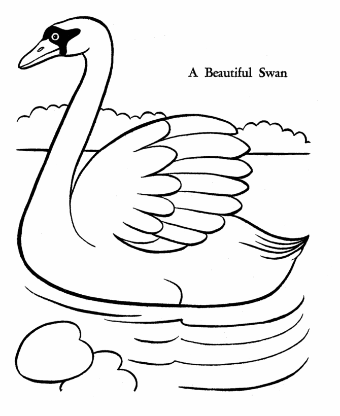 Swan coloring pages