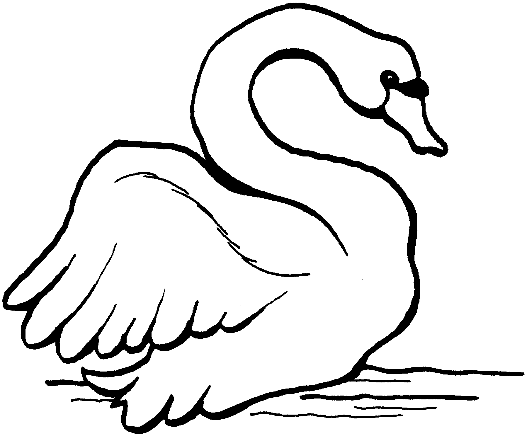 Swan coloring pages