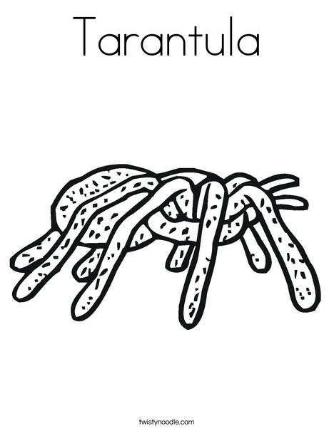 Tarantula coloring page