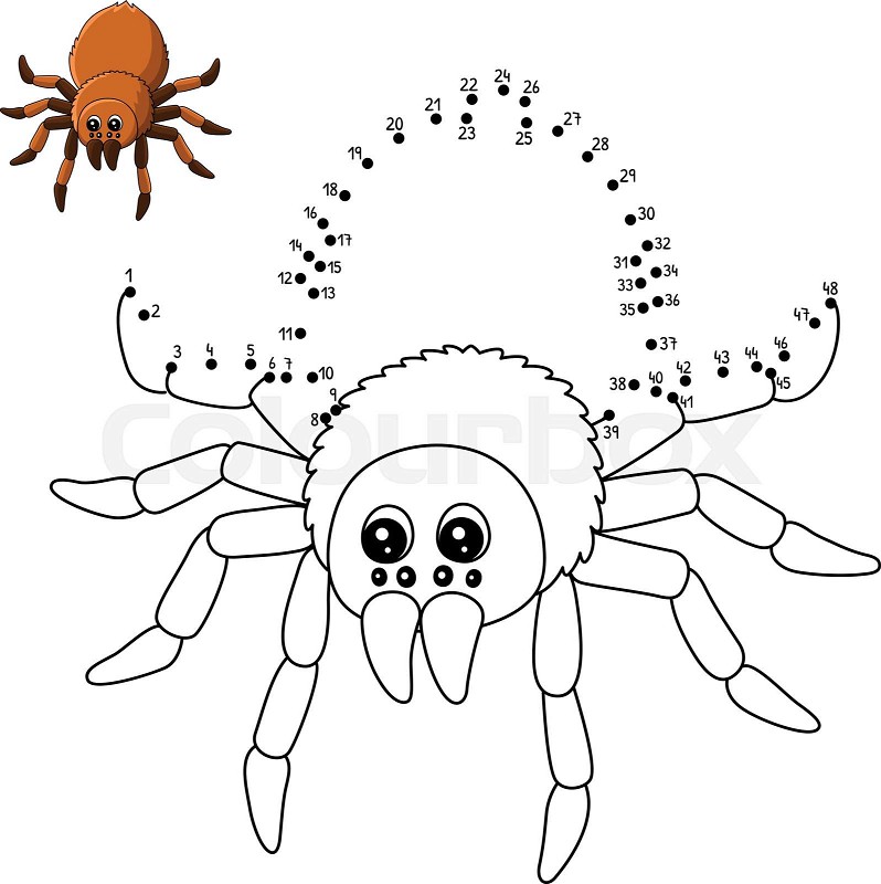 Dot to dot tarantula animal coloring page for kids stock vector